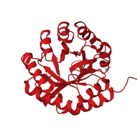 The deposited structure of PDB entry 3sz8 contains 4 copies of CATH domain 3.20.20.70 (TIM Barrel) in 2-dehydro-3-deoxyphosphooctonate aldolase. Showing 1 copy in chain A.