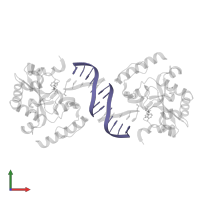 5'-D(*TP*AP*TP*CP*GP*GP*AP*AP*TP*CP*AP*GP*GP*G)-3' in PDB entry 3szq, assembly 1, front view.