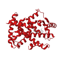 The deposited structure of PDB entry 3t03 contains 2 copies of CATH domain 1.10.565.10 (Retinoid X Receptor) in Peroxisome proliferator-activated receptor gamma. Showing 1 copy in chain A.