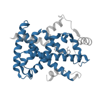 The deposited structure of PDB entry 3t03 contains 2 copies of Pfam domain PF00104 (Ligand-binding domain of nuclear hormone receptor) in Peroxisome proliferator-activated receptor gamma. Showing 1 copy in chain A.