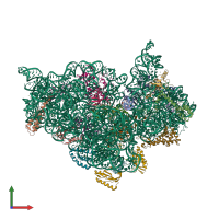 PDB entry 3t1y coloured by chain, front view.