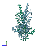 PDB entry 3t4l coloured by chain, side view.