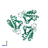 Probable acyl-[acyl-carrier-protein]--UDP-N-acetylglucosamine O-acyltransferase, mitochondrial in PDB entry 3t57, assembly 1, side view.
