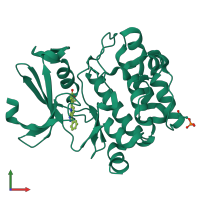 PDB entry 3t9i coloured by chain, front view.