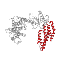 The deposited structure of PDB entry 3tbk contains 1 copy of CATH domain 1.20.1320.30 (phosphoenolpyruvate carboxylase, domain 3) in Antiviral innate immune response receptor RIG-I. Showing 1 copy in chain A.