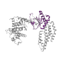 The deposited structure of PDB entry 3tbk contains 1 copy of Pfam domain PF00271 (Helicase conserved C-terminal domain) in Antiviral innate immune response receptor RIG-I. Showing 1 copy in chain A.