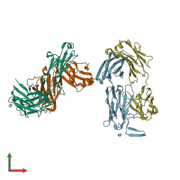 PDB entry 3tcl coloured by chain, front view.