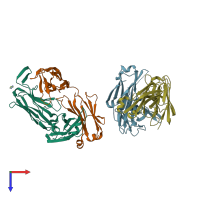 PDB entry 3tcl coloured by chain, top view.