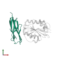Intercellular adhesion molecule 1 in PDB entry 3tcx, assembly 1, front view.