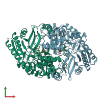 PDB entry 3tfu coloured by chain, front view.