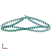 PDB entry 3thf coloured by chain, front view.