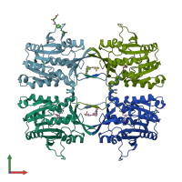 PDB entry 3thr coloured by chain, front view.