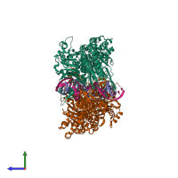 PDB entry 3thx coloured by chain, side view.