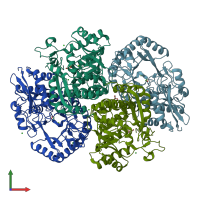 PDB entry 3tji coloured by chain, front view.
