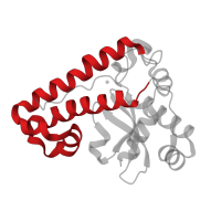 The deposited structure of PDB entry 3tjt contains 1 copy of CATH domain 1.10.287.990 (Helix Hairpins) in Superoxide dismutase. Showing 1 copy in chain A.