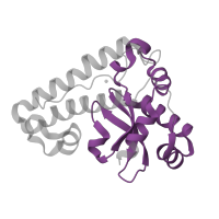 The deposited structure of PDB entry 3tjt contains 1 copy of Pfam domain PF02777 (Iron/manganese superoxide dismutases, C-terminal domain) in Superoxide dismutase. Showing 1 copy in chain A.