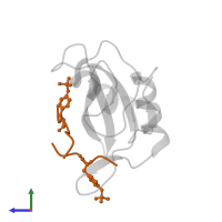 PROTEIN (RVIpYFVPLNR peptide) in PDB entry 3tkz, assembly 1, side view.