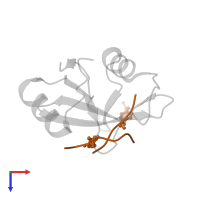 PROTEIN (RVIpYFVPLNR peptide) in PDB entry 3tkz, assembly 1, top view.