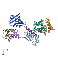 PDB entry 3tmh coloured by chain, top view.