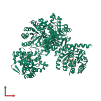 Homo tetrameric assembly 1 of PDB entry 3tr9 coloured by chemically distinct molecules, front view.