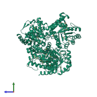 Homo tetrameric assembly 1 of PDB entry 3tr9 coloured by chemically distinct molecules, side view.
