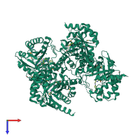 Homo tetrameric assembly 1 of PDB entry 3tr9 coloured by chemically distinct molecules, top view.