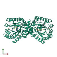 Homo dimeric assembly 2 of PDB entry 3tr9 coloured by chemically distinct molecules, front view.