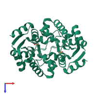 Homo dimeric assembly 2 of PDB entry 3trf coloured by chemically distinct molecules, top view.