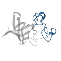 The deposited structure of PDB entry 3trz contains 6 copies of CATH domain 4.10.60.10 (HIV-1 Nucleocapsid Protein) in Protein lin-28 homolog A. Showing 1 copy in chain A.