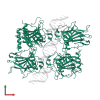 Cellular tumor antigen p53 in PDB entry 3ts8, assembly 1, front view.