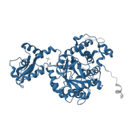 The deposited structure of PDB entry 3tsb contains 2 copies of Pfam domain PF00478 (IMP dehydrogenase / GMP reductase domain) in Inosine-5'-monophosphate dehydrogenase. Showing 1 copy in chain A.