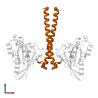 Rab11 family-interacting protein 2 in PDB entry 3tso, assembly 1, front view.