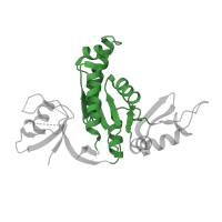 The deposited structure of PDB entry 3tvt contains 1 copy of CATH domain 3.40.50.300 (Rossmann fold) in Disks large 1 tumor suppressor protein. Showing 1 copy in chain A.