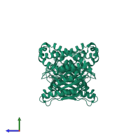 Branched-chain alpha-ketoacid dehydrogenase kinase in PDB entry 3tz4, assembly 1, side view.