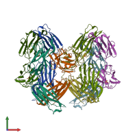 PDB entry 3u36 coloured by chain, front view.