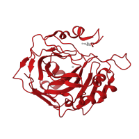 The deposited structure of PDB entry 3u3a contains 1 copy of CATH domain 3.10.200.10 (Carbonic Anhydrase II) in Carbonic anhydrase 2. Showing 1 copy in chain A [auth X].