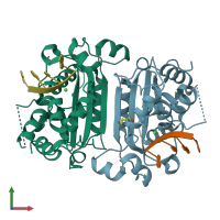 PDB entry 3u3y coloured by chain, front view.