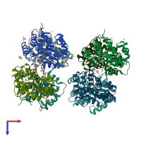 PDB entry 3u41 coloured by chain, top view.