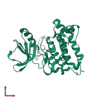 Proto-oncogene tyrosine-protein kinase Src in PDB entry 3u51, assembly 2, front view.