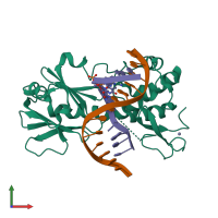 PDB entry 3u6o coloured by chain, front view.