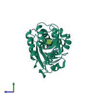PDB entry 3u6z coloured by chain, side view.