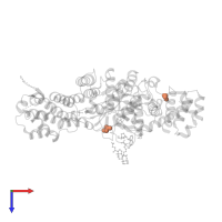 GLYOXYLIC ACID in PDB entry 3u88, assembly 2, top view.