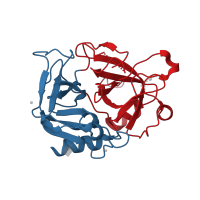 The deposited structure of PDB entry 3u8t contains 2 copies of CATH domain 2.40.10.10 (Thrombin, subunit H) in Thrombin heavy chain. Showing 2 copies in chain B [auth H].