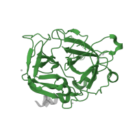 The deposited structure of PDB entry 3u8t contains 1 copy of Pfam domain PF00089 (Trypsin) in Thrombin heavy chain. Showing 1 copy in chain B [auth H].