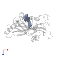 4-(3-{[4-(cyclopropylcarbonyl)piperazin-1-yl]carbonyl}-4-fluorobenzyl)phthalazin-1(2H)-one in PDB entry 3u9y, assembly 1, top view.