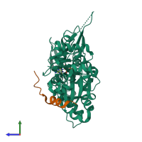 PDB entry 3u9z coloured by chain, side view.