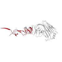 The deposited structure of PDB entry 3ubj contains 6 copies of CATH domain 2.10.77.10 (Hemagglutinin; Chain A, domain 2) in Hemagglutinin. Showing 1 copy in chain A.