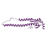 The deposited structure of PDB entry 3ubj contains 6 copies of CATH domain 3.90.20.10 (Hemagglutinin Ectodomain; Chain B) in Hemagglutinin HA2 chain. Showing 1 copy in chain H.