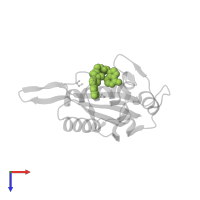 5'-S-[1-(2-{[(2-amino-4-oxo-3,4-dihydropteridin-6-yl)methyl]amino}ethyl)piperidin-4-yl]-5'-thioadenosine in PDB entry 3ud5, assembly 1, top view.