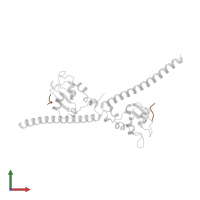 Histone H3.1 in PDB entry 3uee, assembly 1, front view.